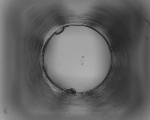X0000101221485200807181540