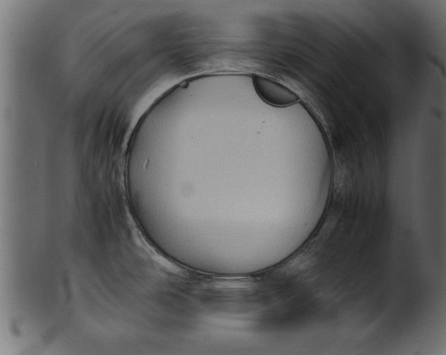 X0000101221486200807181540
