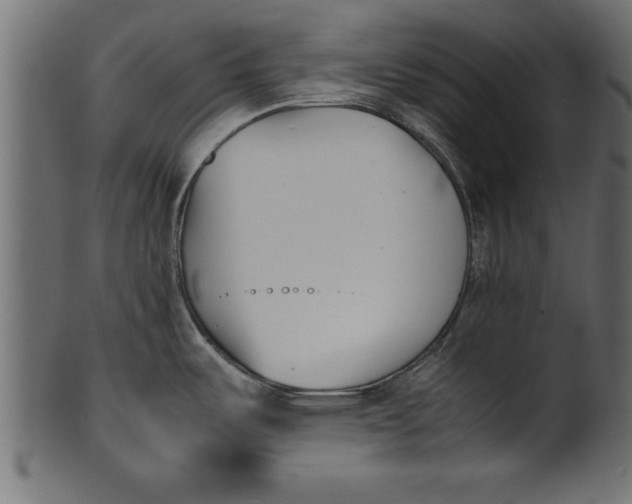 X0000101221487200807181540