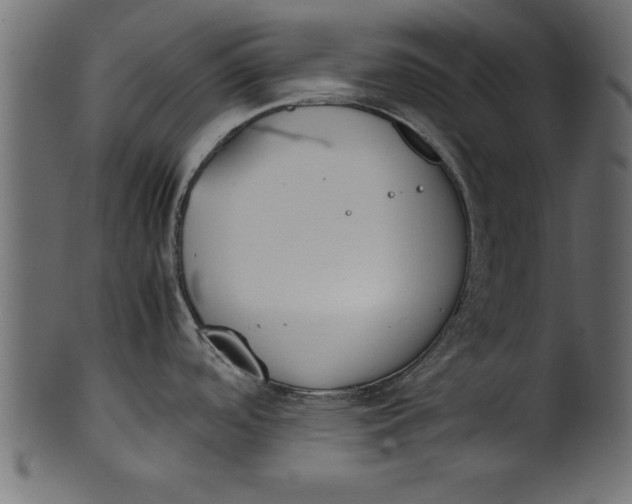 X0000101221488200807181540