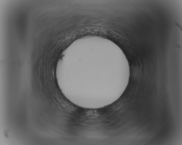 X0000101221489200807181539