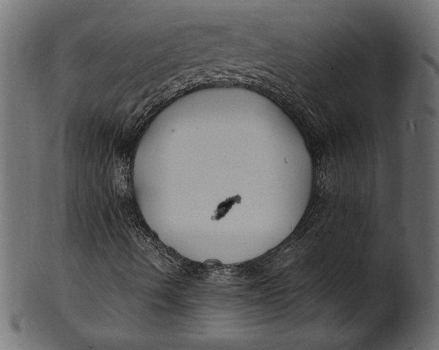 X0000101221490200807181539