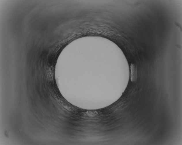 X0000101221491200807181539