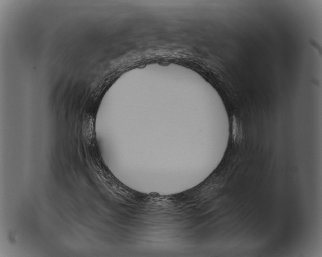 X0000101221492200807181539