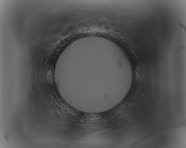 X0000101221493200807181539