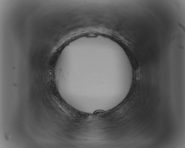 X0000101221496200807181540