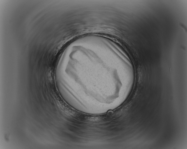 X0000101221497200807181540