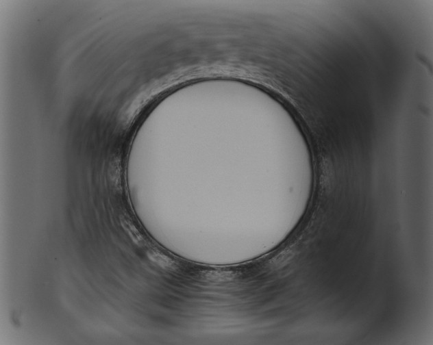 X0000101221499200807181540