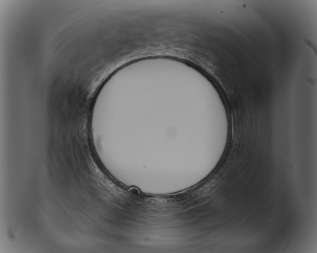 X0000101221500200807181540