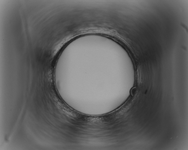 X0000101221501200807181540