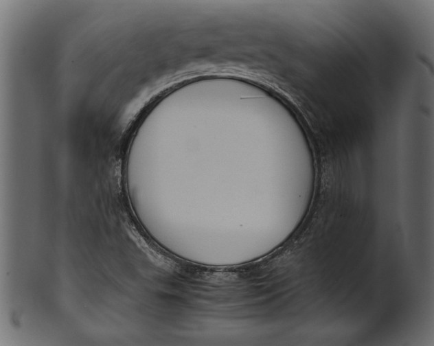 X0000101221503200807181540