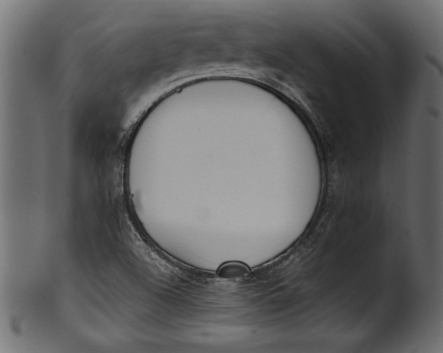 X0000101221504200807181540