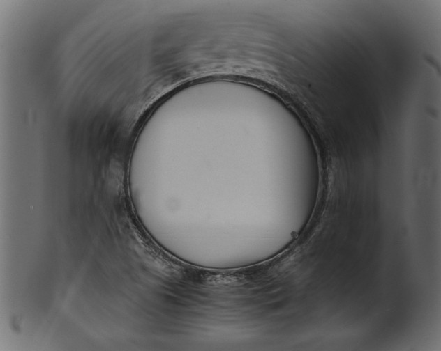 X0000101221505200807181540