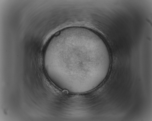 X0000101221506200807181540