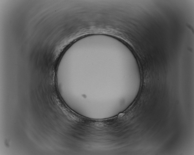 X0000101221507200807181540