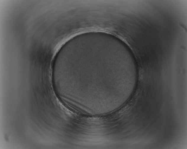 X0000101221508200807181540