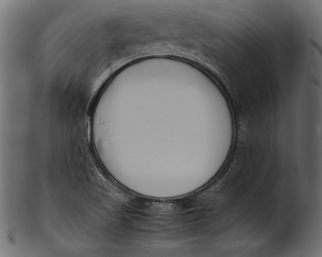 X0000101221509200807181540