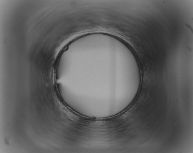 X0000101221510200807181540