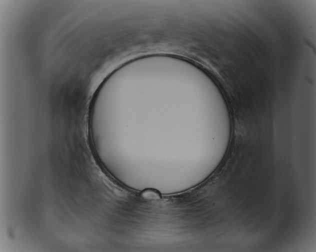 X0000101221512200807181540