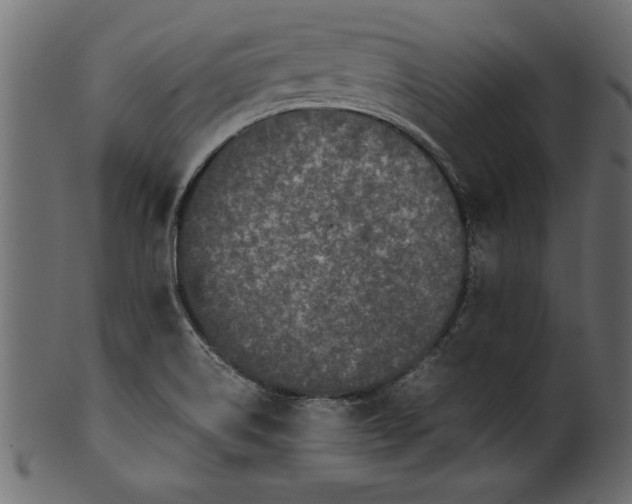 X0000101221514200807181540