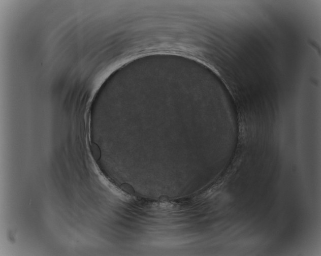 X0000101221515200807181540