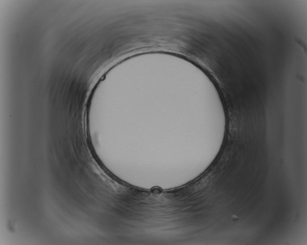 X0000101221516200807181540