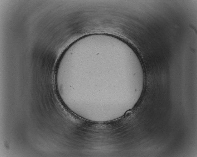 X0000101221517200807181540
