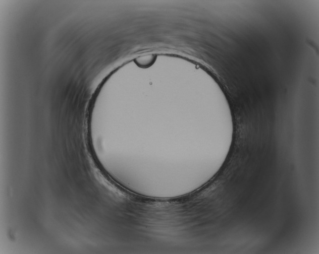 X0000101221518200807181540