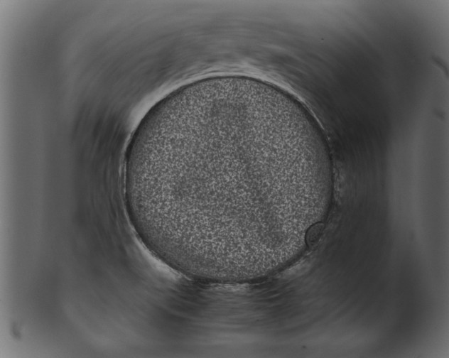 X0000101221519200807181540