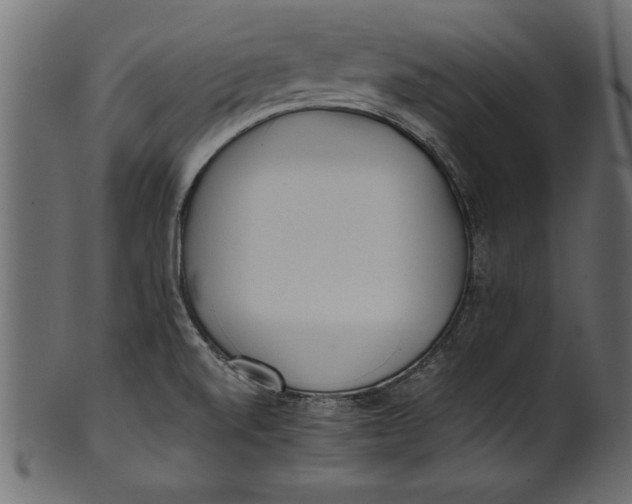 X0000101221520200807181540