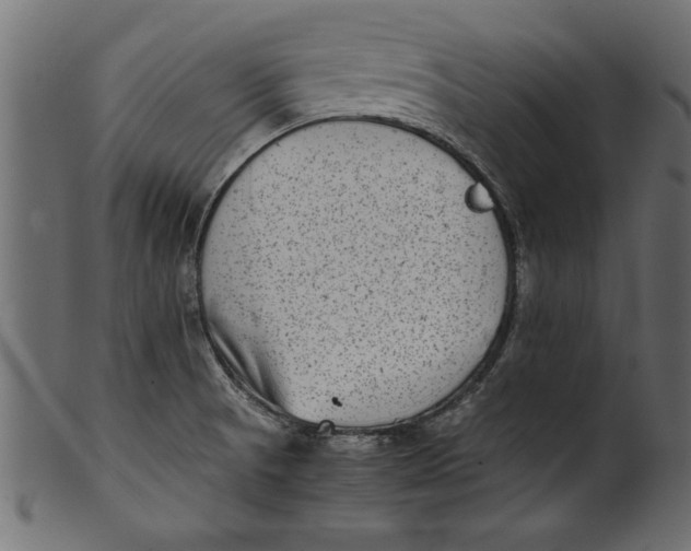 X0000101221521200807181540
