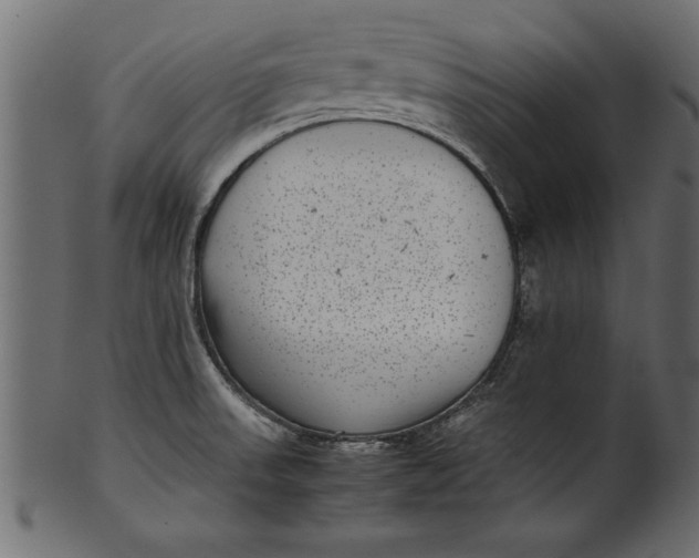 X0000101221523200807181540