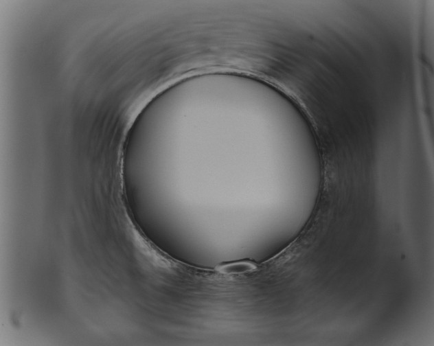 X0000101221524200807181540