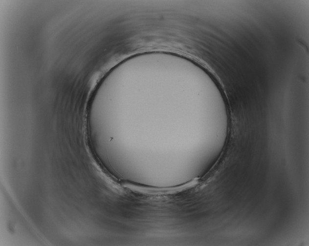 X0000101221525200807181540