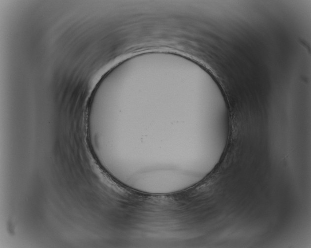 X0000101221526200807181540