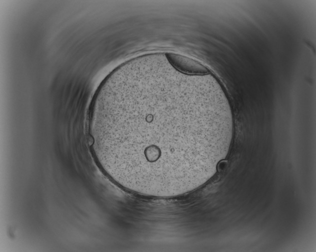 X0000101221527200807181540