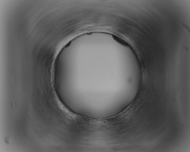 X0000101221528200807181540