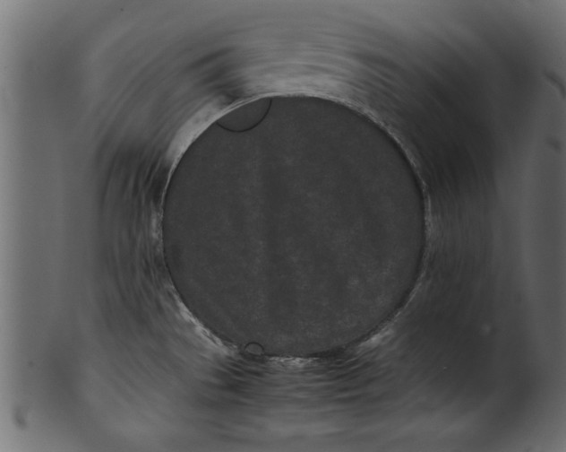 X0000101221529200807181540