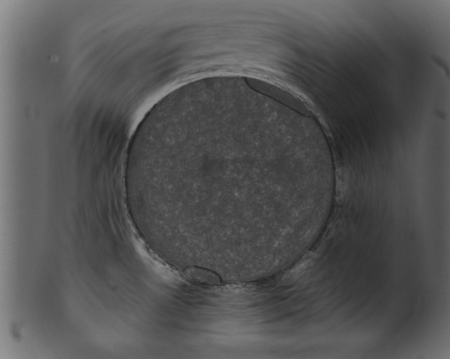 X0000101221530200807181540