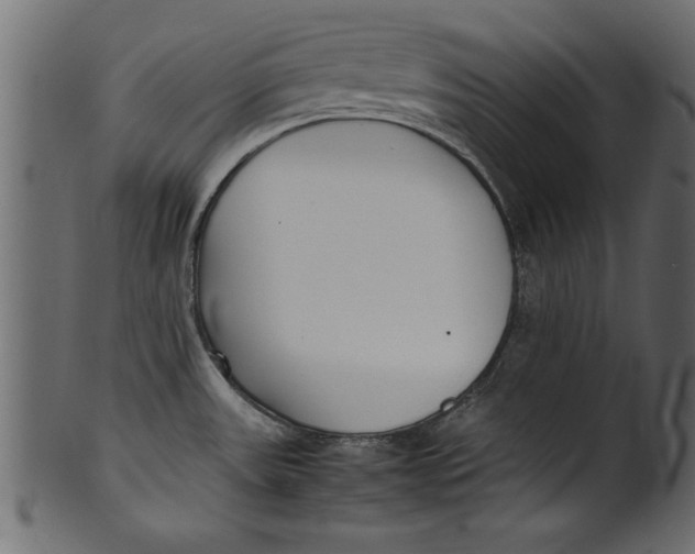 X0000101221531200807181540