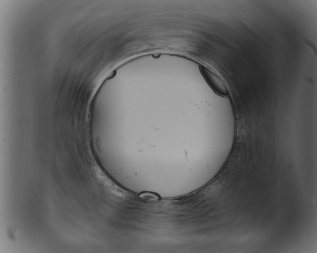 X0000101221532200807181540