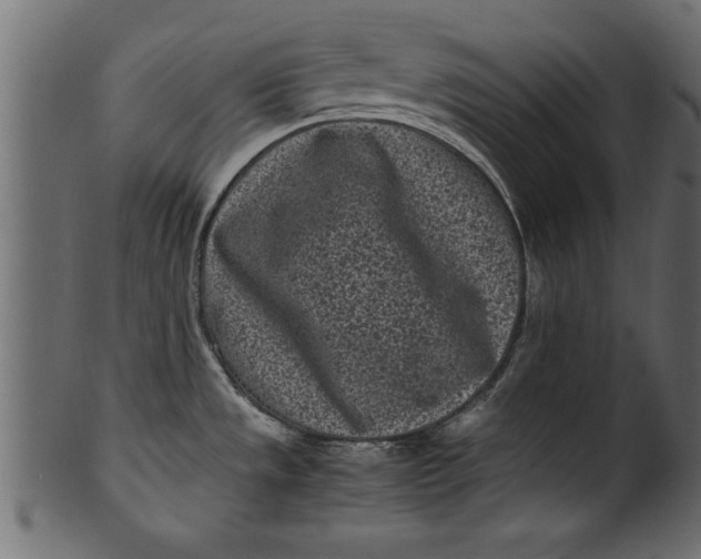 X0000101221533200807181540