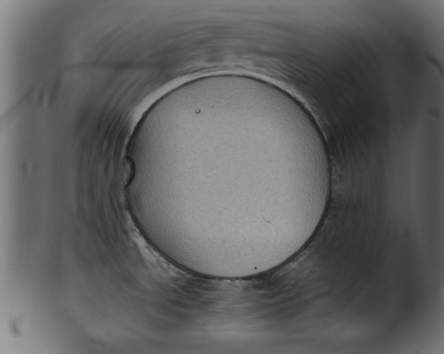X0000101221534200807181540