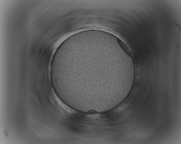 X0000101221535200807181540