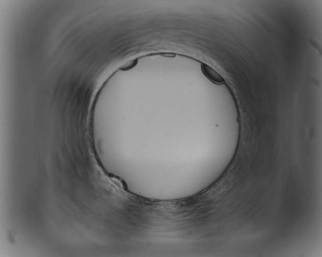 X0000101221536200807181540