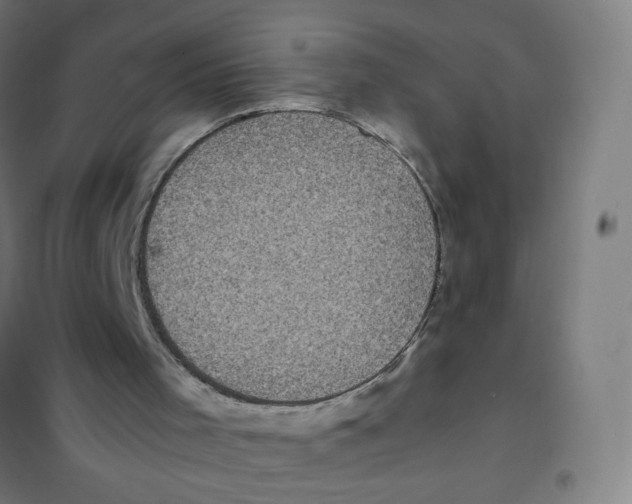 X0000101220001200807251122