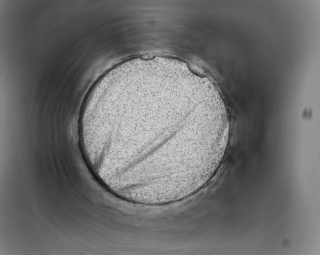 X0000101220002200807251122