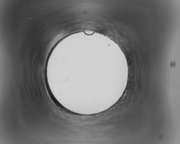 X0000101220003200807251122