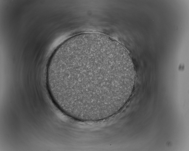 X0000101220005200807251122