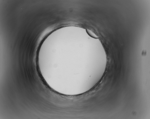 X0000101220006200807251122